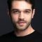 Tom Wilkinson Photo