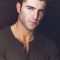Gary Farmer Photo